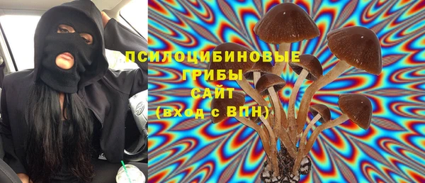 прущие крисы Белоозёрский