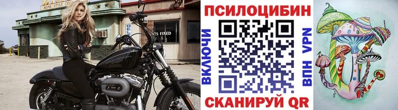 Псилоцибиновые грибы GOLDEN TEACHER Саяногорск