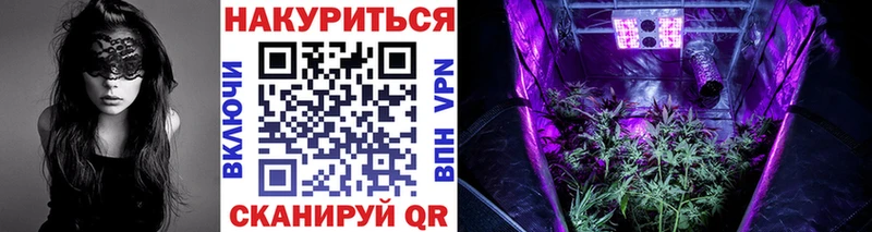 закладка  Саяногорск  Канабис сатива 